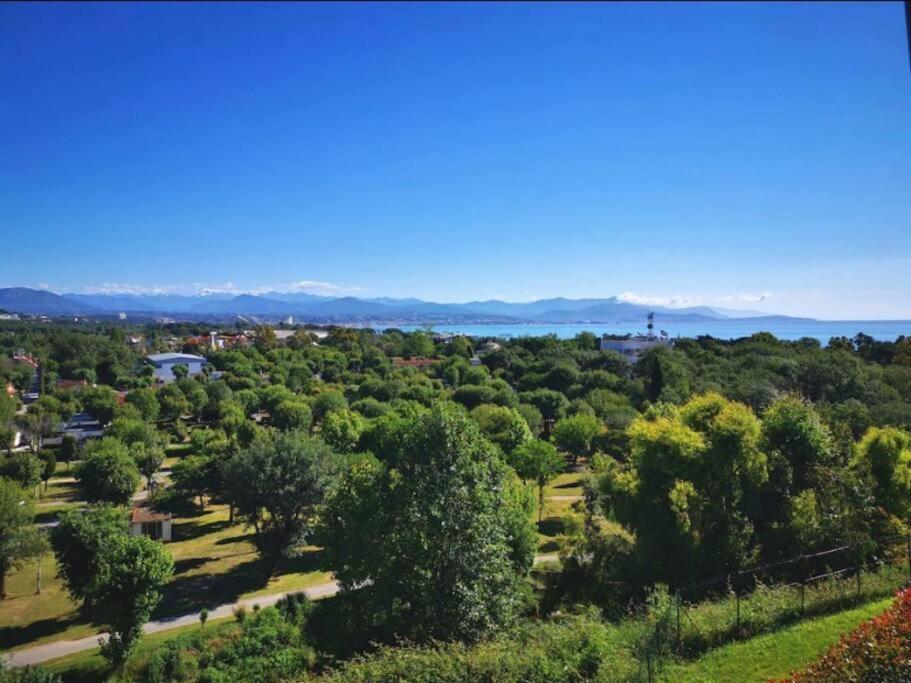 Superbe Appartement, Piscine, Vue Mer Et Montagnes Антиб Екстериор снимка